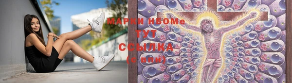 шишки Инта