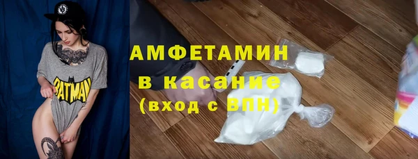 шишки Инта