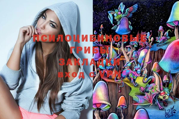 хмурый Иннополис