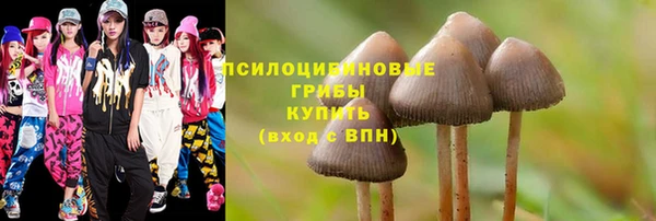 хмурый Иннополис