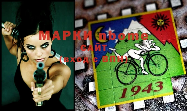 шишки Инта