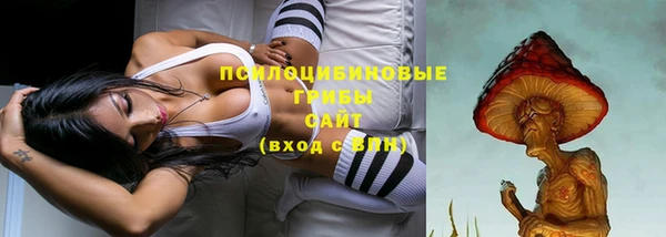 шишки Инта
