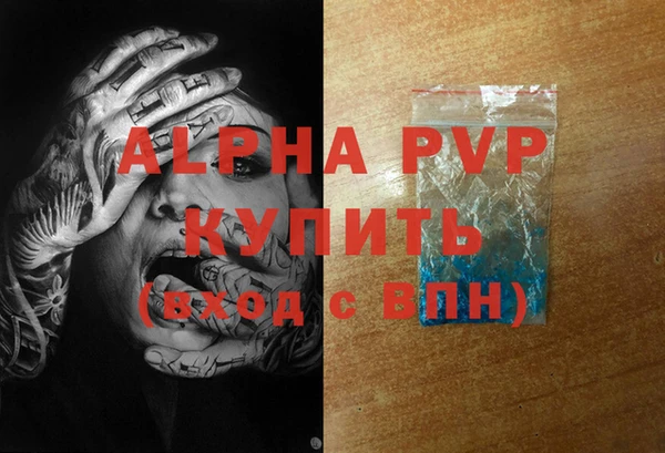 шишки Инта