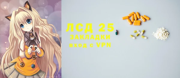 шишки Инта