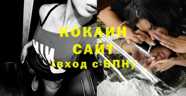 шишки Инта
