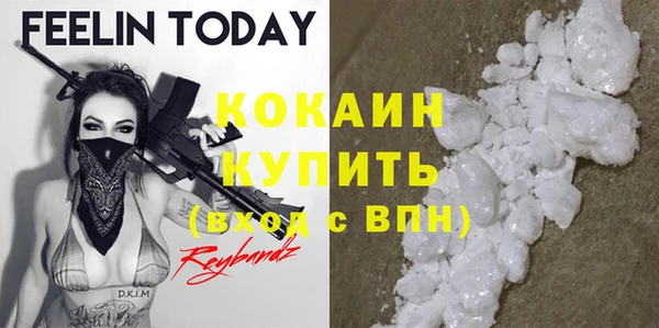 шишки Инта