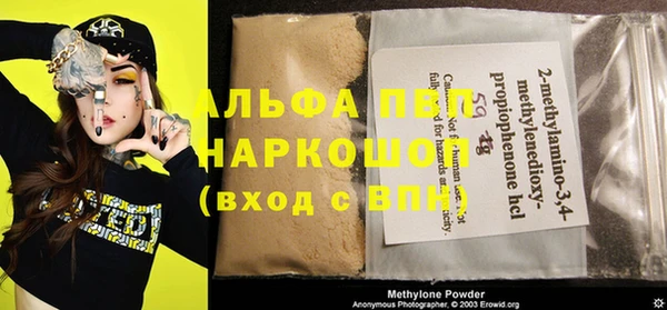шишки Инта
