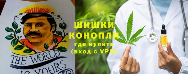 шишки Инта