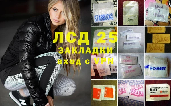 шишки Инта